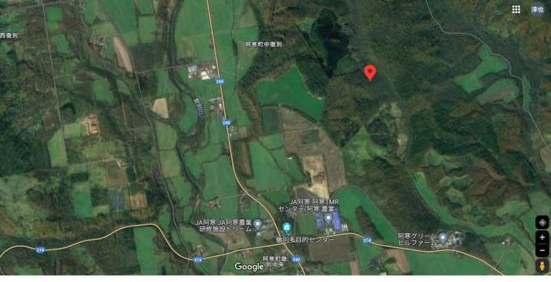 釧路市阿寒町の山林　100坪20万円
