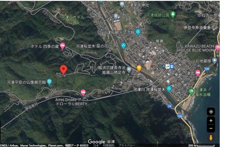 【桜の名所】静岡県河津町の土地