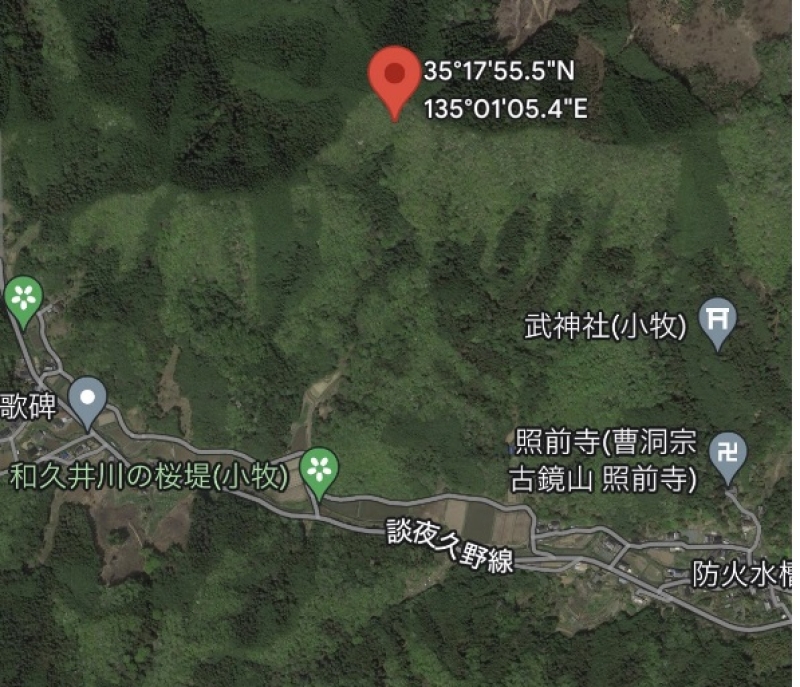 福知山市の１３００坪の山林　４０万円