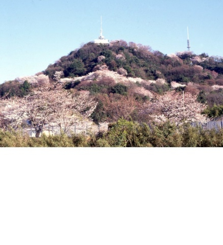 【広島市内】南区　黄金山の麓の土地３筆　808㎡（245坪）