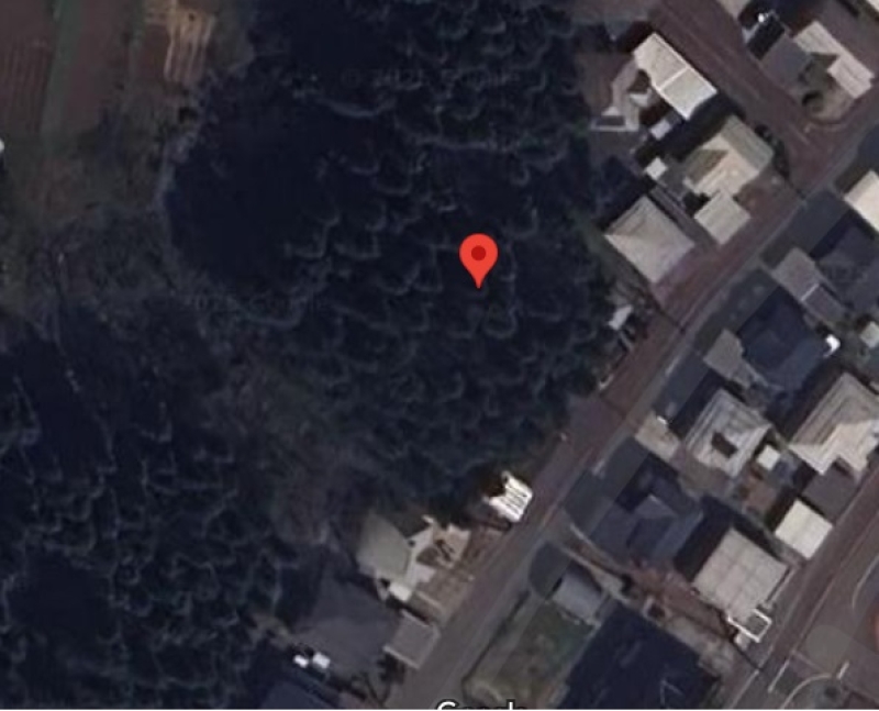 新潟県上越市の山林3筆　339㎡(約102坪）　住宅街の山林