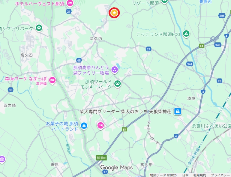 栃木県那須町の山林　４０３㎡　４０万円