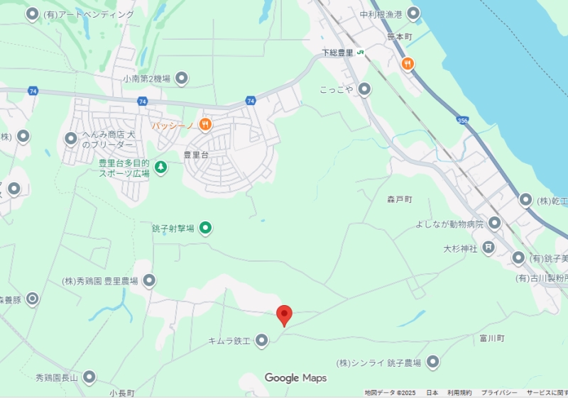 千葉県銚子市の山林　約６５坪　３５万円