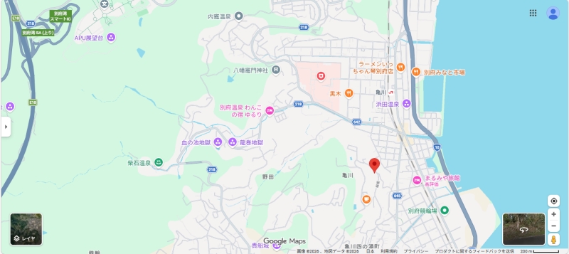 ＜市道沿い＞大分県別府市亀川中央町の山林　約２３５坪　１００万円