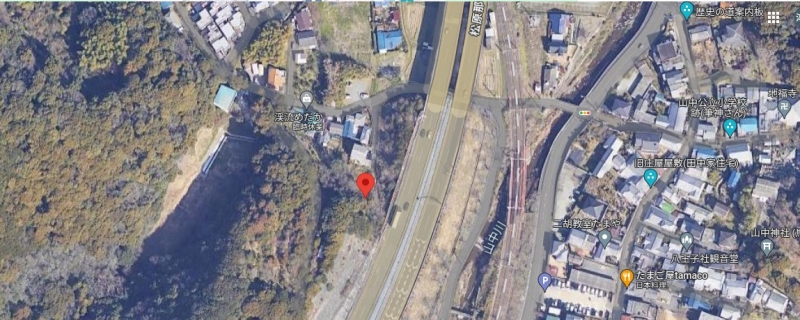 大阪府阪南市の山林