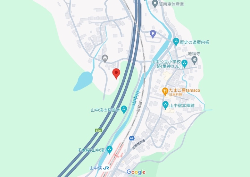 大阪府阪南市の山林